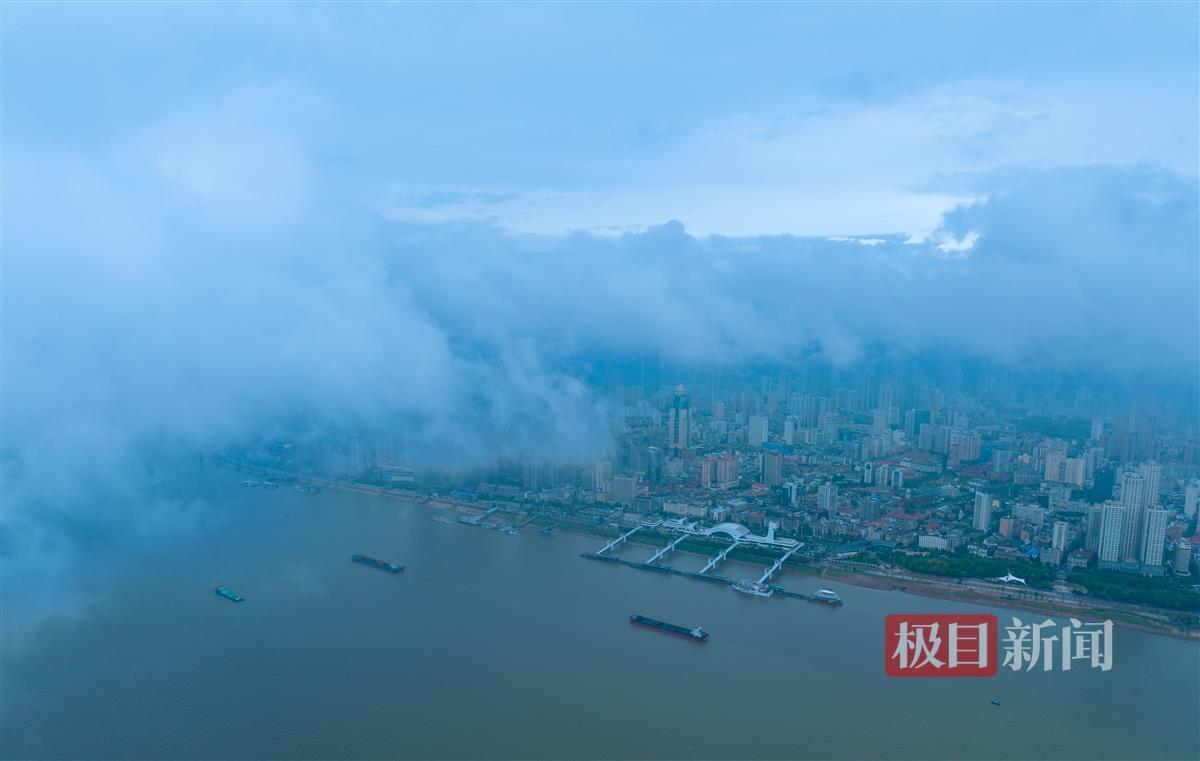 救世博白菜网址大全